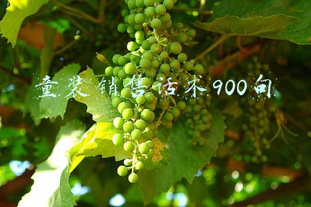 童装销售话术900句