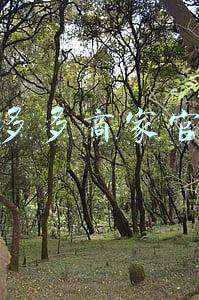 拼多多商家官网