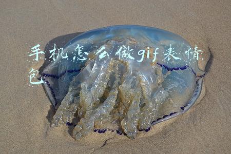 手机怎么做gif表情包