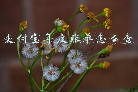 支付宝年度账单怎么查