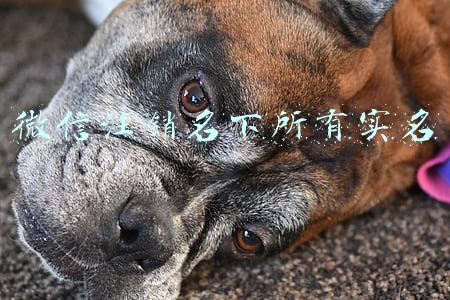 微信注销名下所有实名