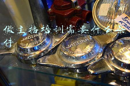做主播培训需要什么条件