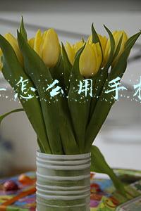 公交车怎么用手机支付