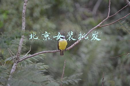 北京女装批发