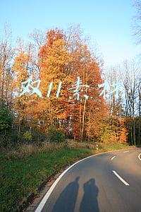 双11素材