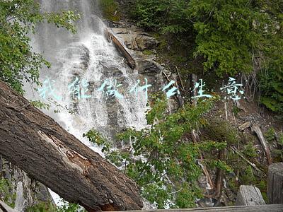 可以做些什么生意呢(不想出去打工了，在家做什么小生意好？)