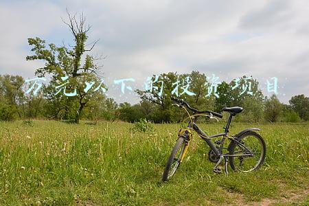 万元投资什么项目好(想创业真的不难，做不了互联网，但这些项目1万元就能搞！)