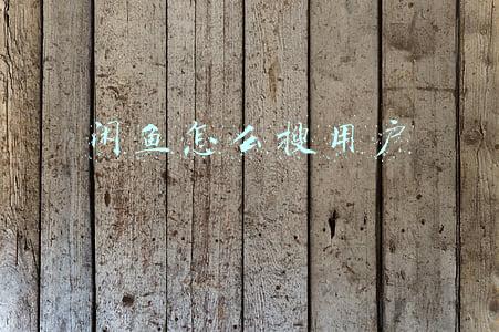 闲鱼怎么搜用户