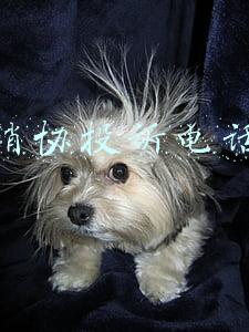 消协投诉电话