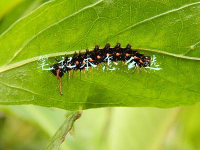 笔记本怎么选 笔记本怎么选