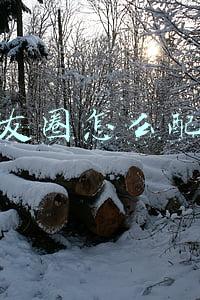 发朋友圈怎么配音乐