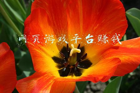 网页游戏平台赚钱