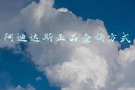 阿迪达斯正品查询方式