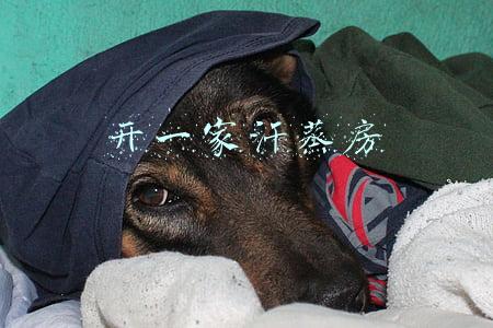 开一家汗蒸房