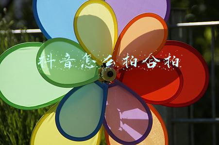 抖音怎么拍合拍