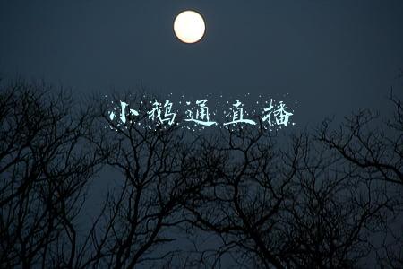 小鹅通直播