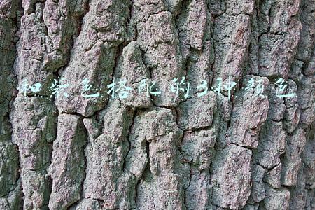 和紫色搭配的3种颜色