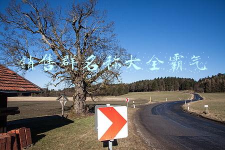 销售群名称大全霸气