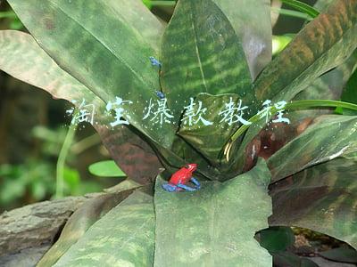 淘宝爆款教程