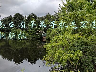 怎么看苹果手机是不是翻新机