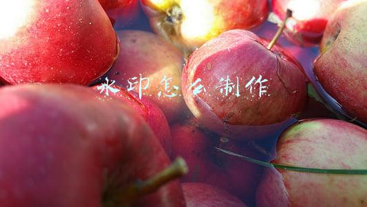 图片水印怎么制作(新手如何给自己的原创图片加水印，简单几步一学就会)