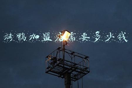 学做烤鸭要6000块钱吗，做的味道也不错，吃了感觉有种让人难以忘掉的感觉，是私人制作法，总感觉花这：加盟一个烤鸭店大概多少钱