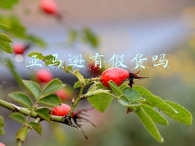 亚马逊有假货吗