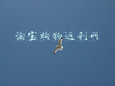 购物返利商城(多人拼团返利系统，0元购物，积分兑换，推广分佣)