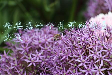 母婴店工资多少钱一个月，母婴店工资标准参考