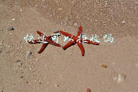 快递可以拒收吗买家要付邮费(善言法务普法行动1：货到付款买家拒签需承担运费？退款违法吗？)