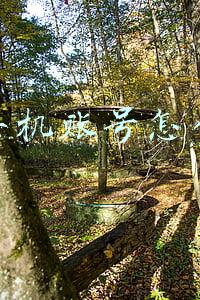 网易手机账号怎么注销