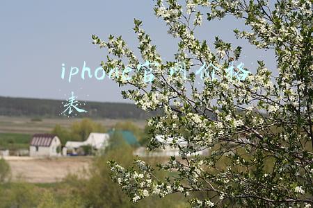 iphone官网价格表