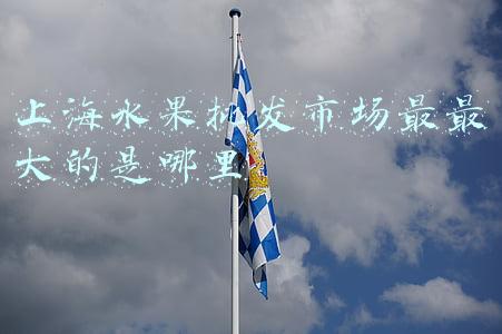 上海水果批发市场最最大的是哪里
