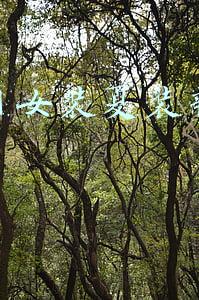 淘宝网女装夏装新款裙子