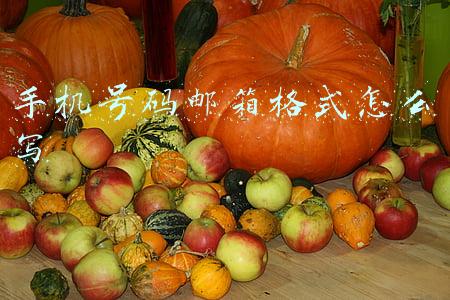 手机号码邮箱格式怎么写