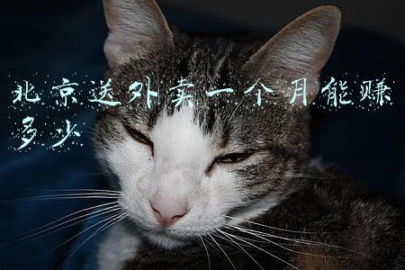 北京送外卖一个月能挣多少钱(我，外卖员，在北京月入过万，揭露外卖员纷纷辞职的实情)