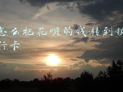 怎么把花呗的钱转到银行卡