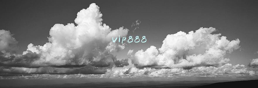 vip888