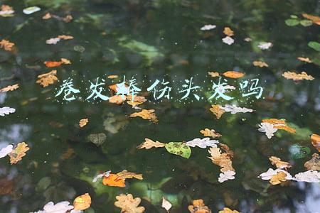卷发棒伤头发吗