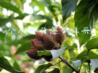 个人邮箱怎么注册163(163电子邮箱注册怎么使用？申请163.net电子邮箱详解)