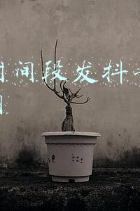 什么时间段发抖音容易上热门