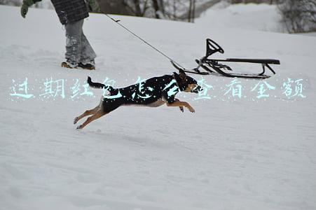 红包过期怎么看到金额(「红包提醒」红包过期被退回？未能及时领取的数据宝红包，补领办法在这里)