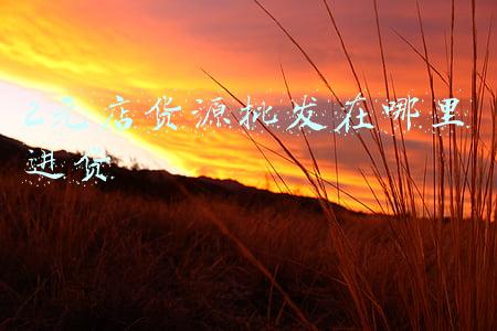 2元店货源批发在哪里进货