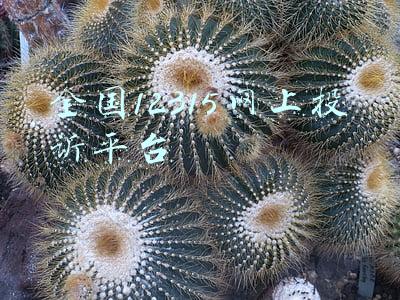 全国12315网上投诉平台