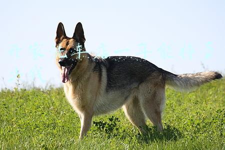 开家洗车店投资多少；开个简单的洗车店需要投资多少`？