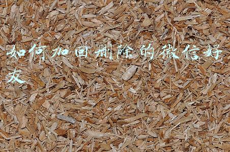 如何加回删除的微信好友