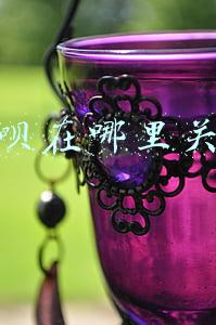 花呗在哪里关闭