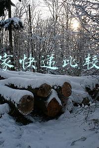 哪家快递比较好