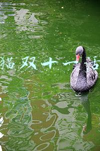 天猫双十一活动策划方案(天猫双11活动时间表汇总，文末附带密令链接入口)