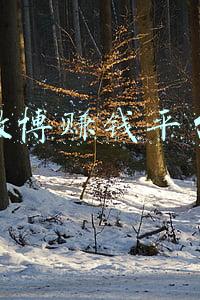 微博赚钱平台